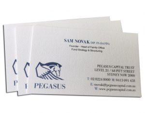 pegasus-business-card-rives-design-bright-white